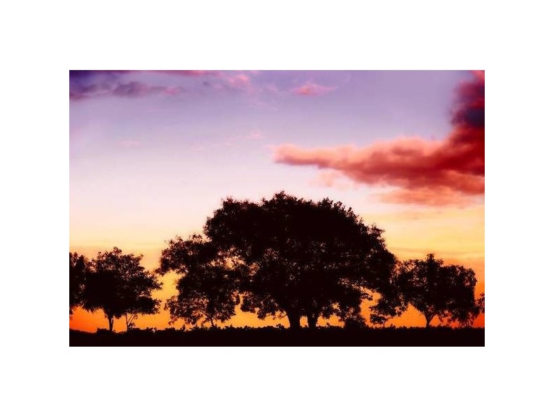 Lot 30 St Andrews Drive, Strathalbyn SA 5255