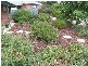 5 Dutch Close, Mount Barker SA 5251