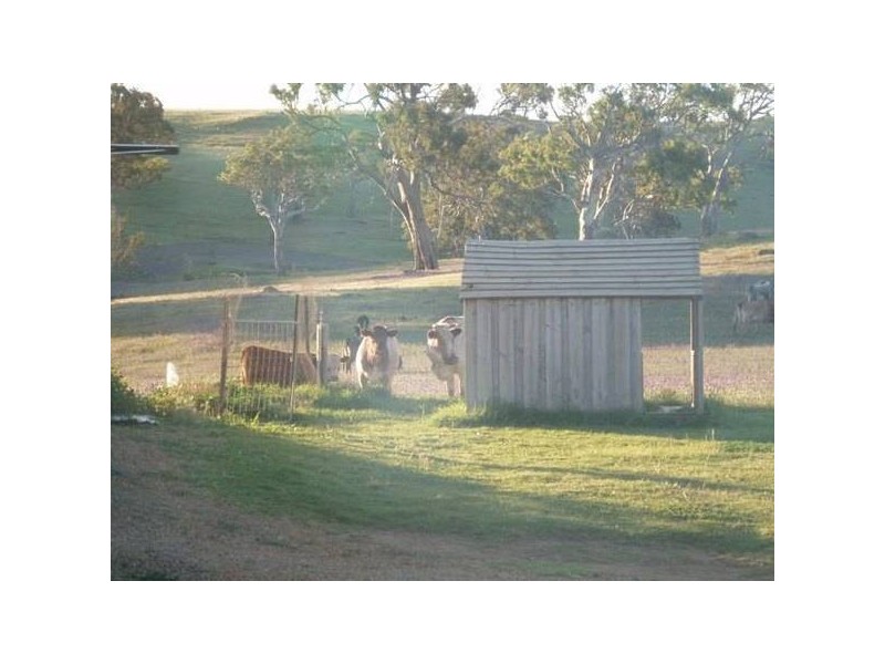 Lot 10 Macclesfield Road, Strathalbyn SA 5255