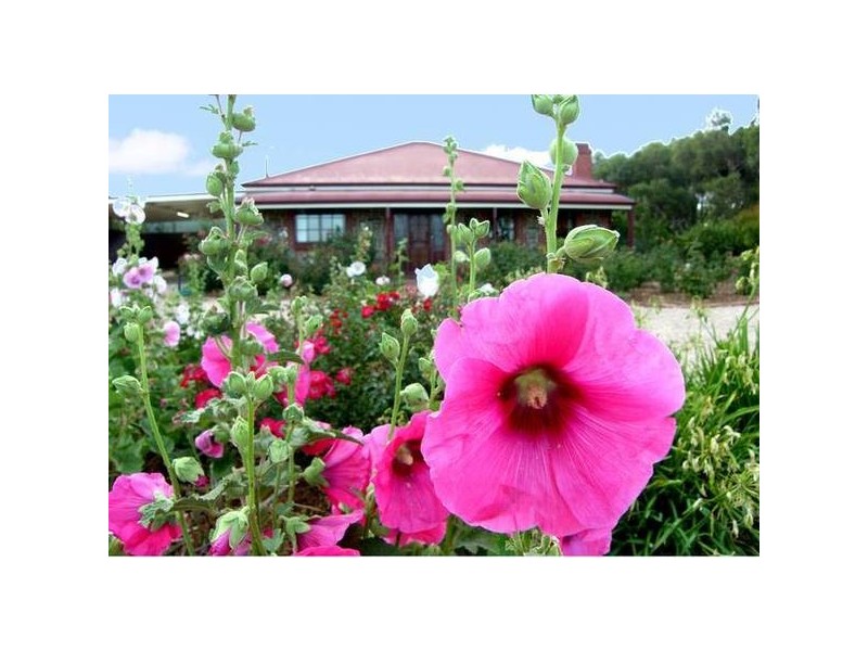 8 Lines Road, Strathalbyn SA 5255