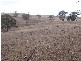 Lot 10, Macclesfield Road, Strathalbyn SA 5255