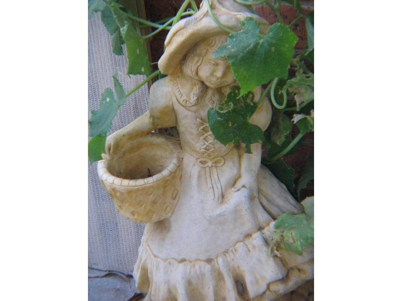 26 Hurling Drive, Mount Barker SA 5251