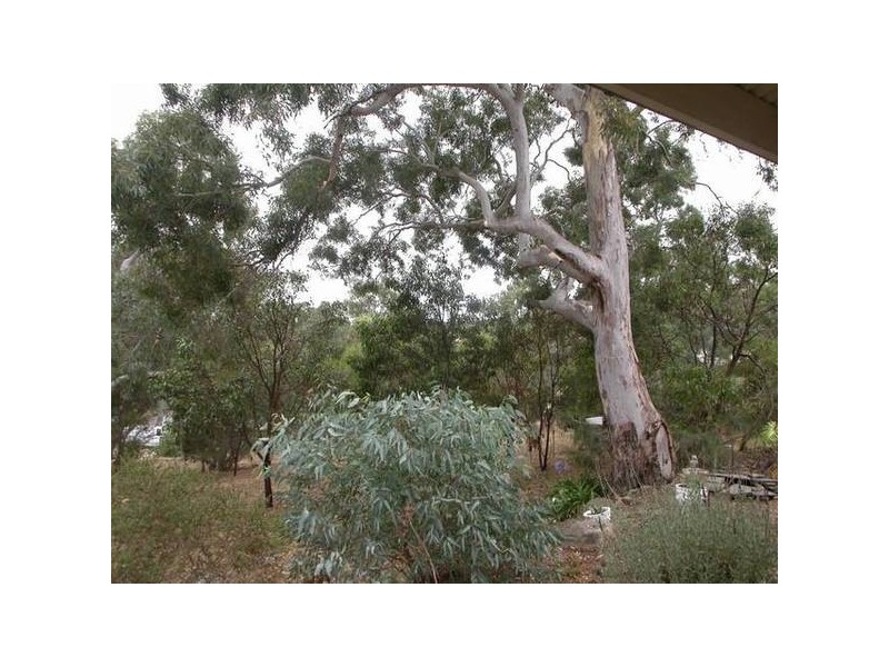 42A Wirrinilla Drive, Macclesfield SA 5153