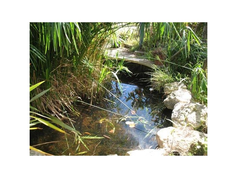 73 Coxe Street, Milang SA 5256