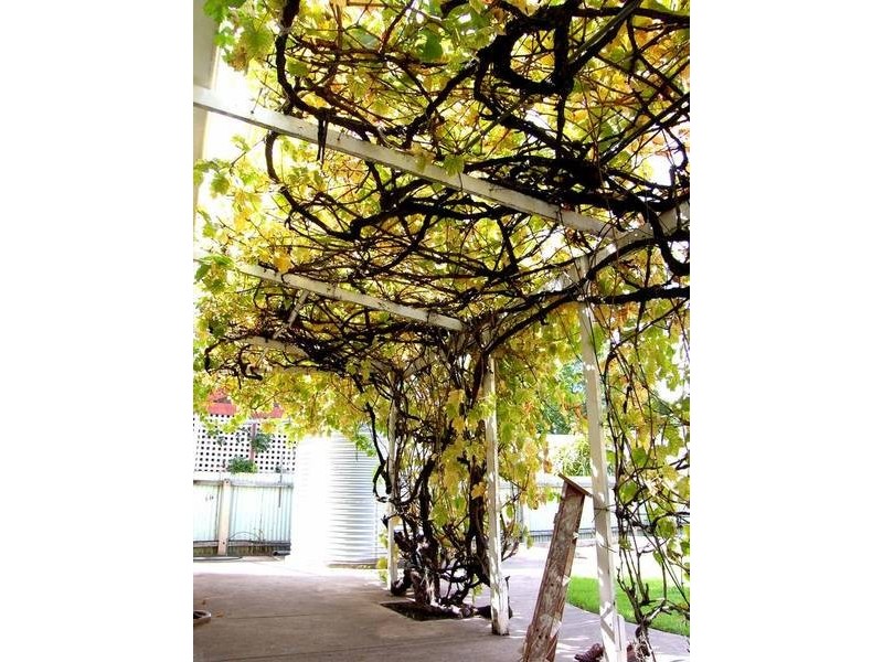 27 Arthur Street, Clarence Gardens SA 5039