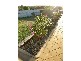 36 Michelmore Drive, Meadows SA 5201
