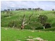 Lot 2 Gemmell Road, Gemmells SA 5255