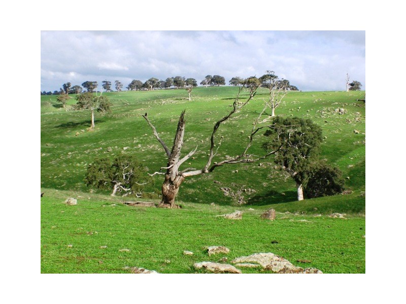 Lot 2 Gemmell Road, Gemmells SA 5255