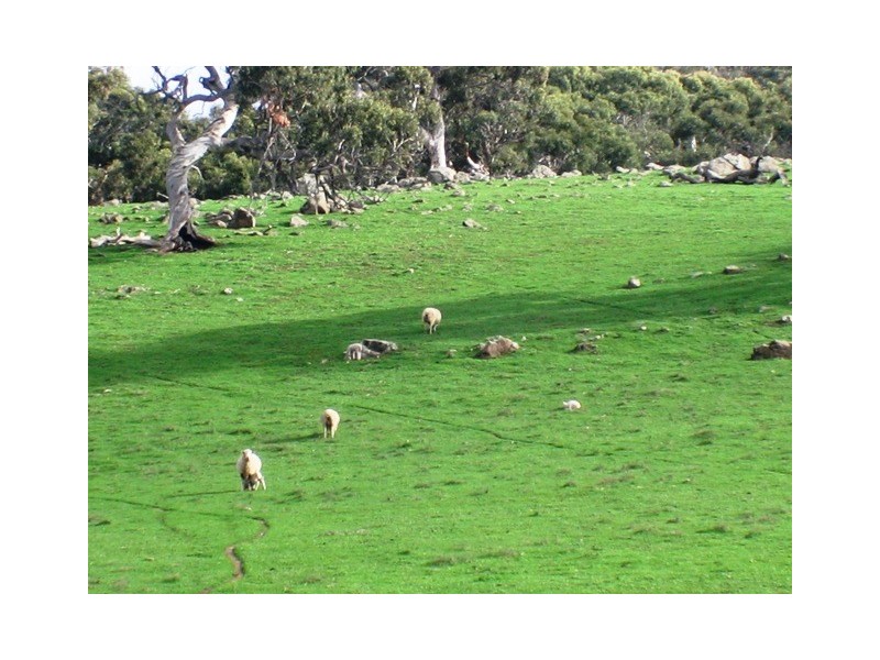 Lot 2 Gemmell Road, Gemmells SA 5255