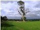Lot 2 Gemmell Road, Gemmells SA 5255