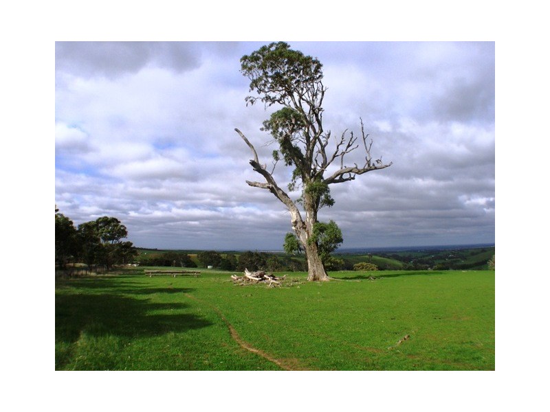 Lot 2 Gemmell Road, Gemmells SA 5255