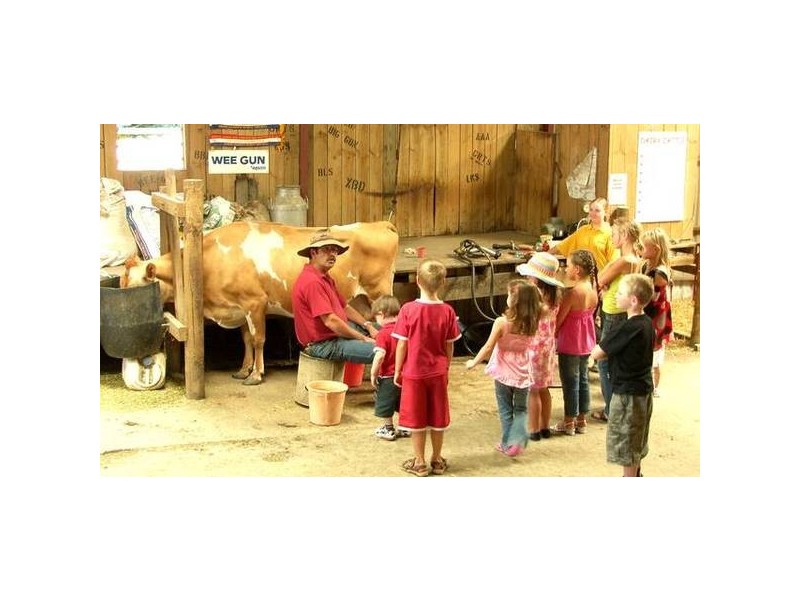 Lot 100 Mount Barker Road, Hahndorf SA 5245