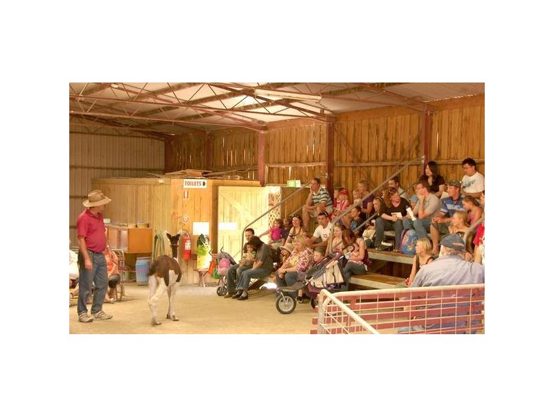 Lt 100 Mount Barker Road, Hahndorf SA 5245