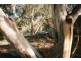 Lot 6 Corner Howard Court & Blakiston Road, Blakiston SA 5250