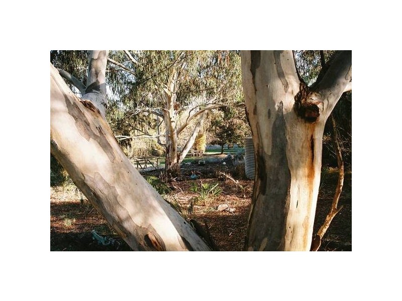 Lot 6 Corner Howard Court & Blakiston Road, Blakiston SA 5250