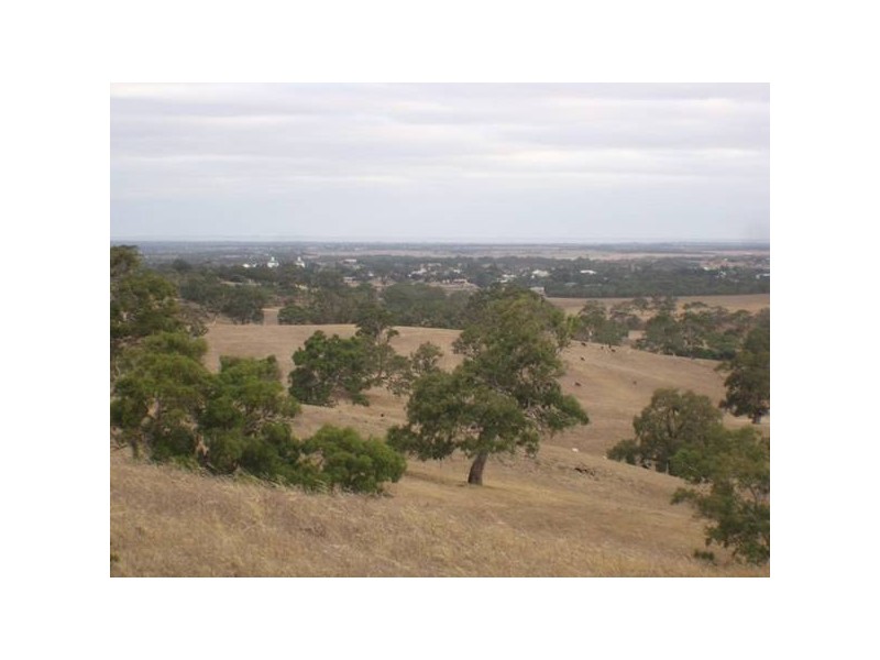 10 Macclesfield Road, Strathalbyn SA 5255