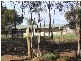 Lot 3 Swamp Road, Strathalbyn SA 5255
