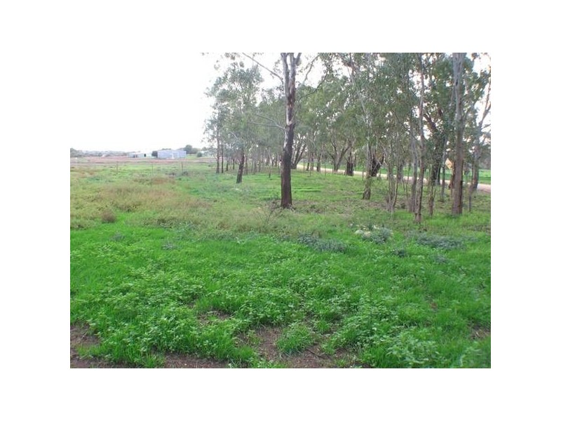 Lot 3 Swamp Road, Strathalbyn SA 5255