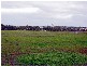 Lot 3 Swamp Road, Strathalbyn SA 5255