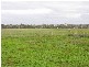 Lot 3 Swamp Road, Strathalbyn SA 5255