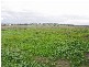 Lot 3 Swamp Road, Strathalbyn SA 5255