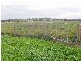 Lot 3 Swamp Road, Strathalbyn SA 5255