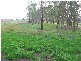 Lot 3 Swamp Road, Strathalbyn SA 5255
