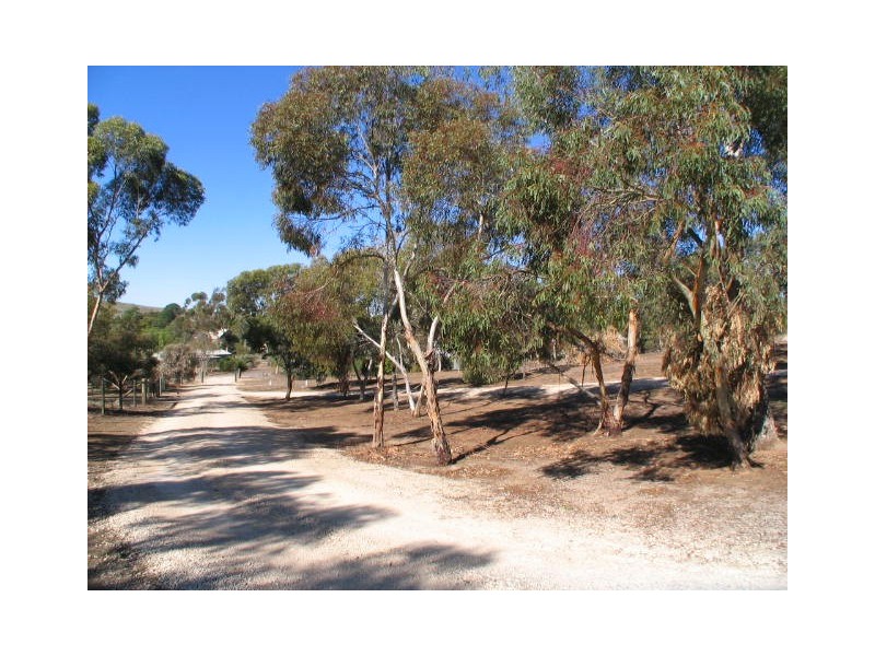 Lot 981 & 983, Lot Young Road, Kanmantoo SA 5252