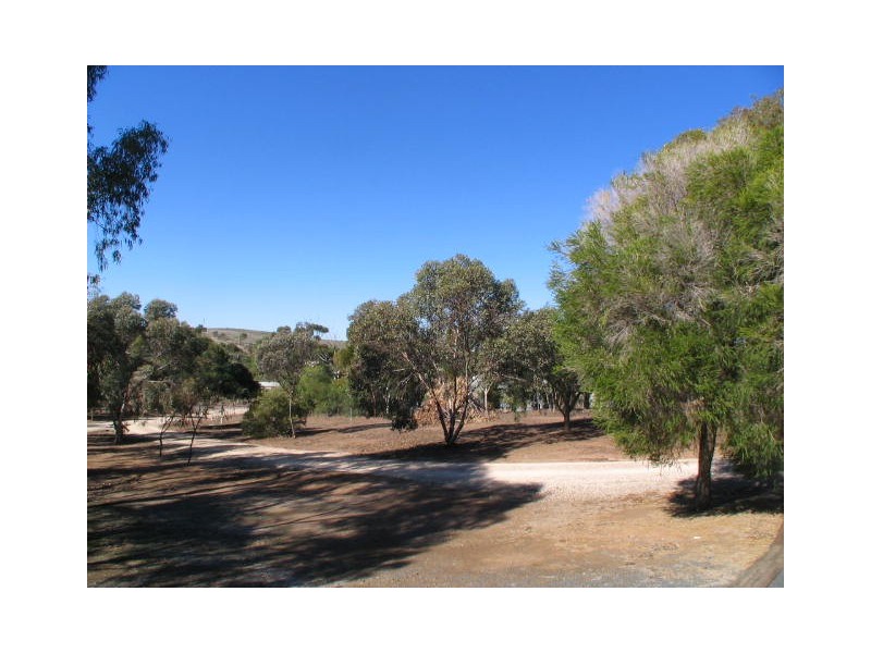 Lot 981 & 983, Lot Young Road, Kanmantoo SA 5252