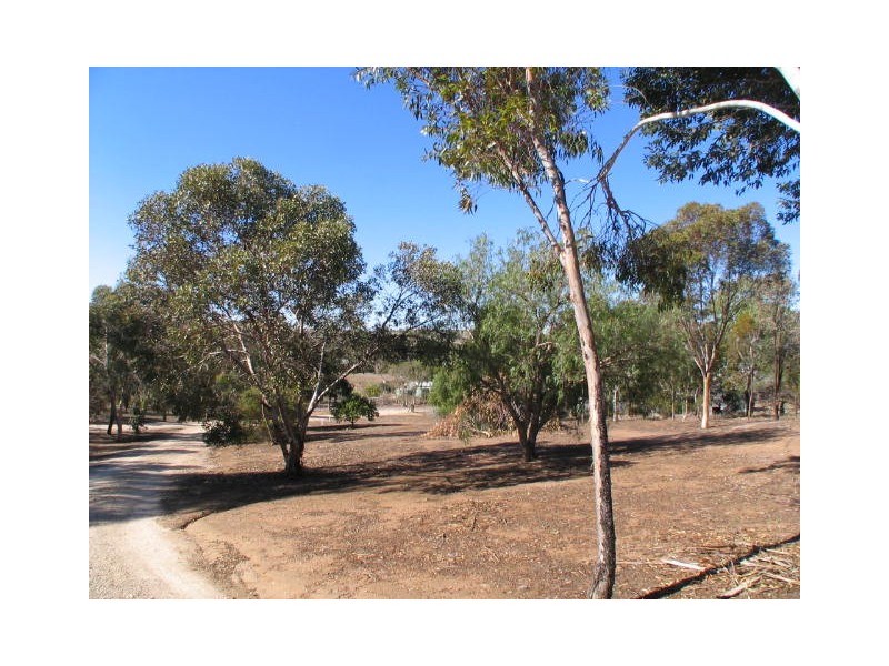 Lot 981 & 983, Lot Young Road, Kanmantoo SA 5252
