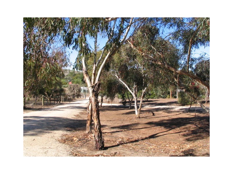 Lot 981 & 983, Lot Young Road, Kanmantoo SA 5252