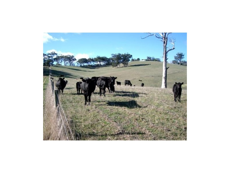 Lot 1 Bald Hills Road, Prospect Hill SA 5201