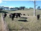 Lt 1 Bald Hills Road, Prospect Hill SA 5201