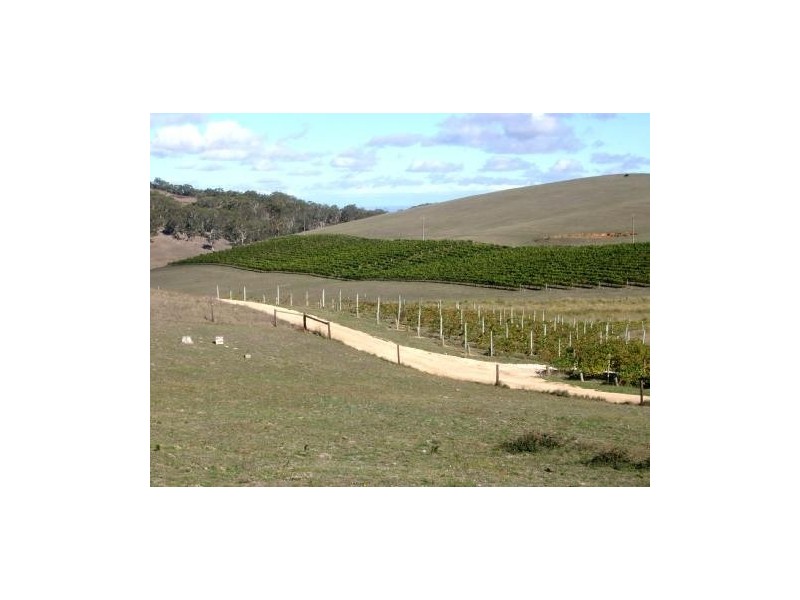 Lt 1 Bald Hills Road, Prospect Hill SA 5201