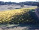 Lt 1 Bald Hills Road, Prospect Hill SA 5201