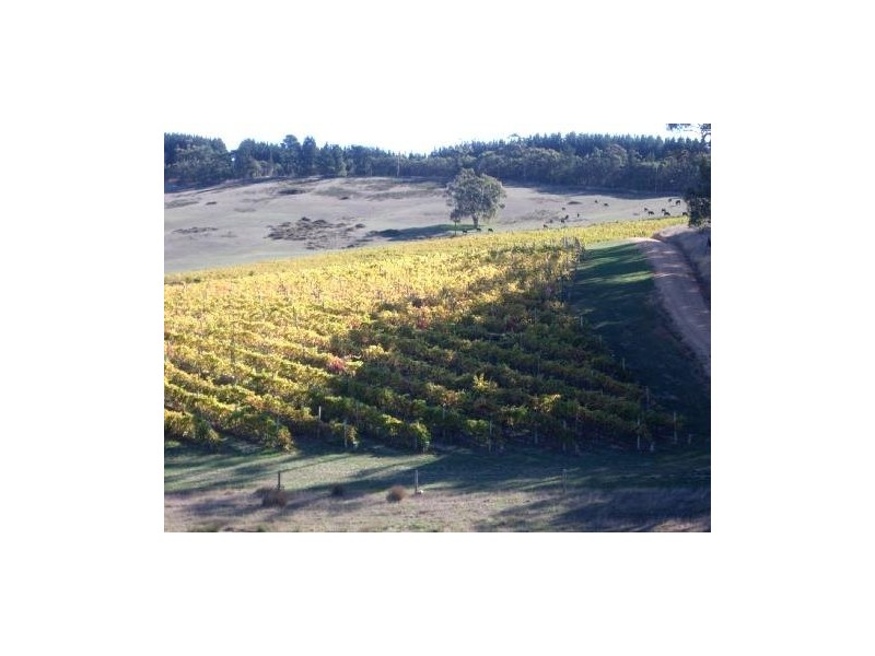 Lt 1 Bald Hills Road, Prospect Hill SA 5201