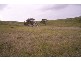 Lot 96 Critchley Road, Monarto SA 5254