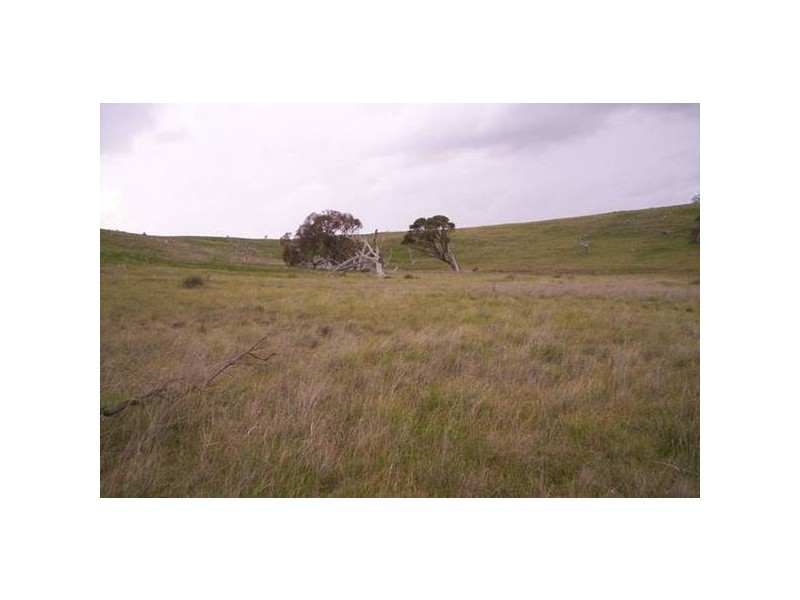 Lot 96 Critchley Road, Monarto SA 5254