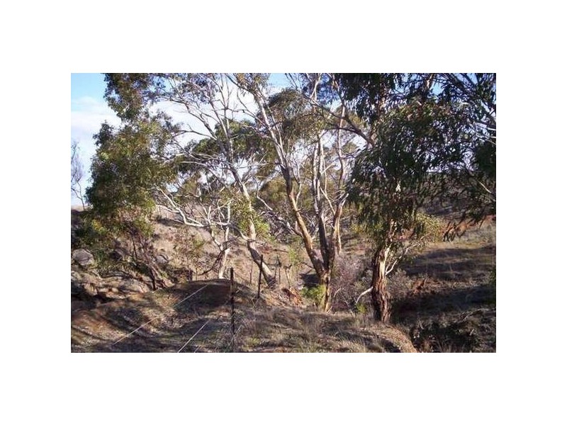 Lot 96 Critchley Road, Monarto SA 5254