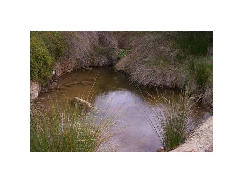 Lot 96 Critchley Road, Monarto SA 5254