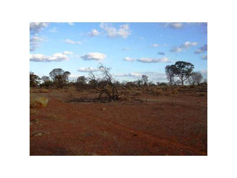 Lot 54 Oak Grove, Monarto SA 5254