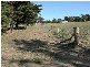 Lot 102 Pursell Road, Bugle Ranges SA 5251