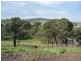 8 Vienna Court, Mount Barker SA 5251