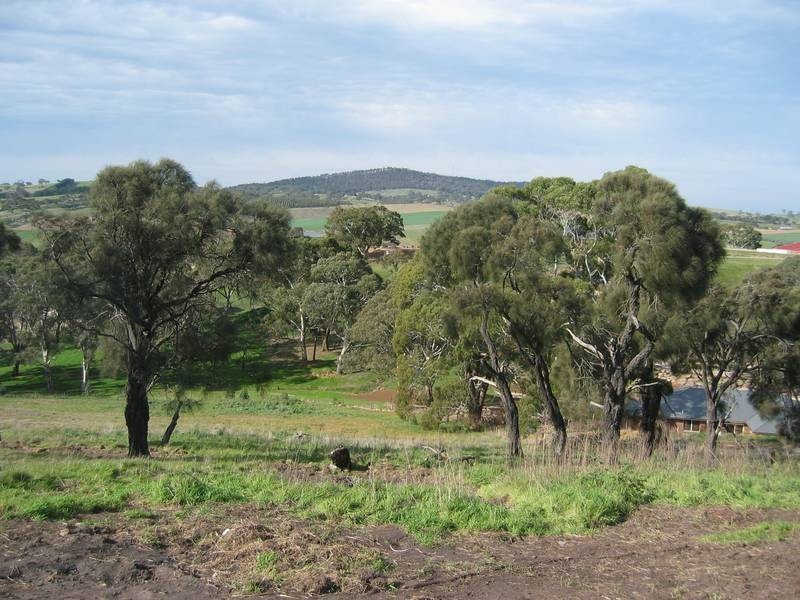 8 Vienna Court, Mount Barker SA 5251