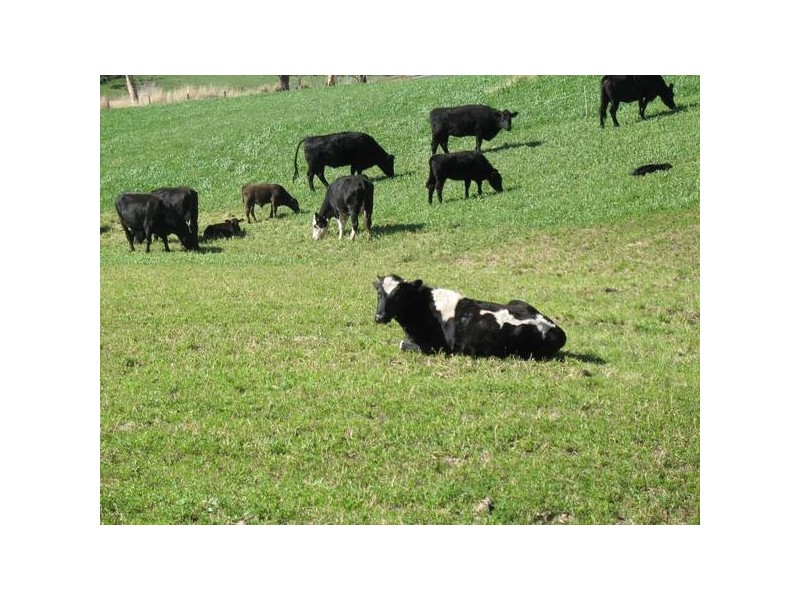 Lot 952 Adelaide – Goolwa Road, Meadows SA 5201