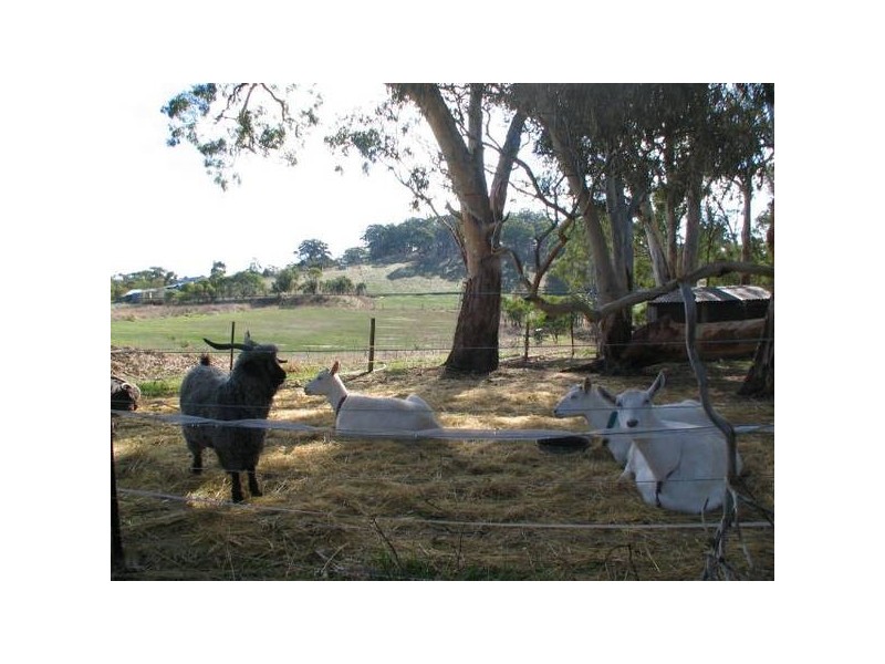 Lot 113 Frampton Road, Wistow SA 5251