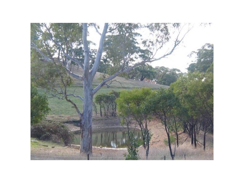 Lot 113 Frampton Road, Wistow SA 5251