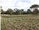 Lot 62 Burnside Road, Strathalbyn SA 5255