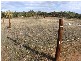 Lot 62, Burnside Road, Strathalbyn SA 5255