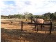 Lot 62, Burnside Road, Strathalbyn SA 5255